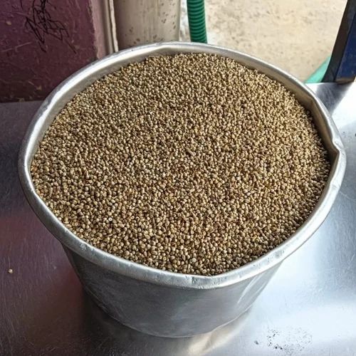 Dried Green Millet Seed, For Bird Feed