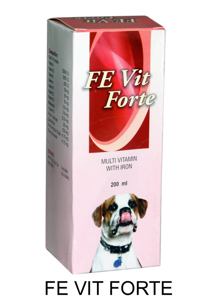 FE VIT Forte Syrup