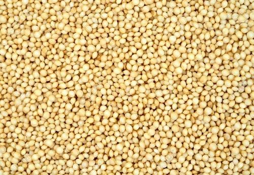 Yellow Puffed Amaranth Seeds, Gluten Free