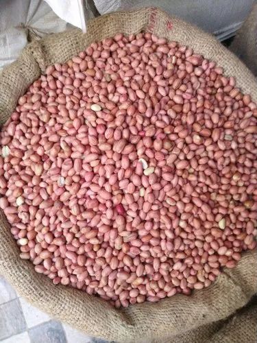 Raw Red Peanut, 60-70