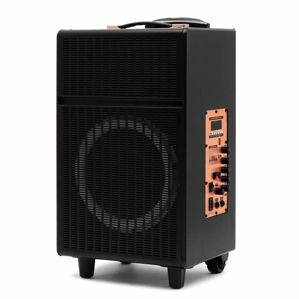 10 INCH BOX Trolley Speaker