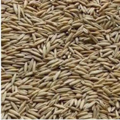 Rolled White Oat Flakes, Organic