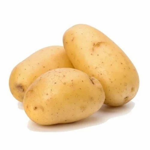 A Grade Elongated Fresh Potato