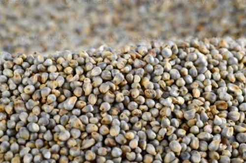 Loose Organic Pearl Millet