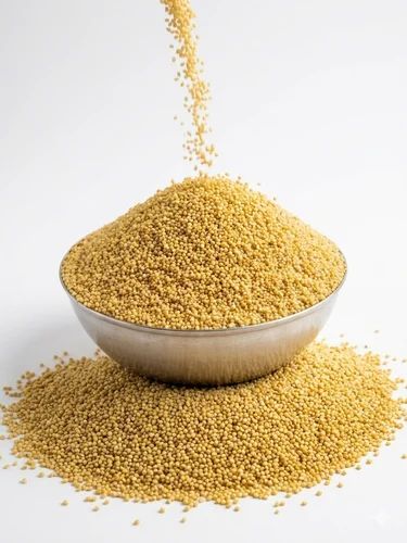 Loose Organic Yellow Millet