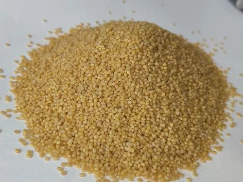 Yellow Millet