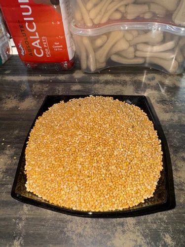Imported Yellow Millet