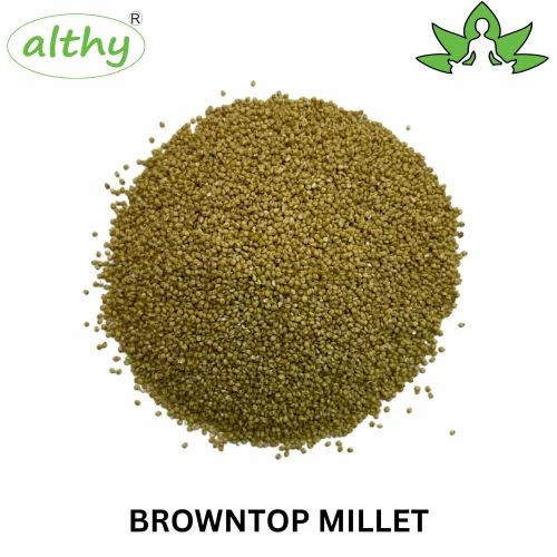 Althy Browntop Millet Seed, Gluten Free, 25 Kg