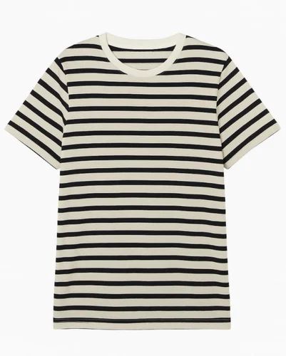Ivory White Mens Striped Cotton T Shirt