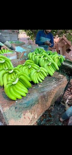 Fresh Banana