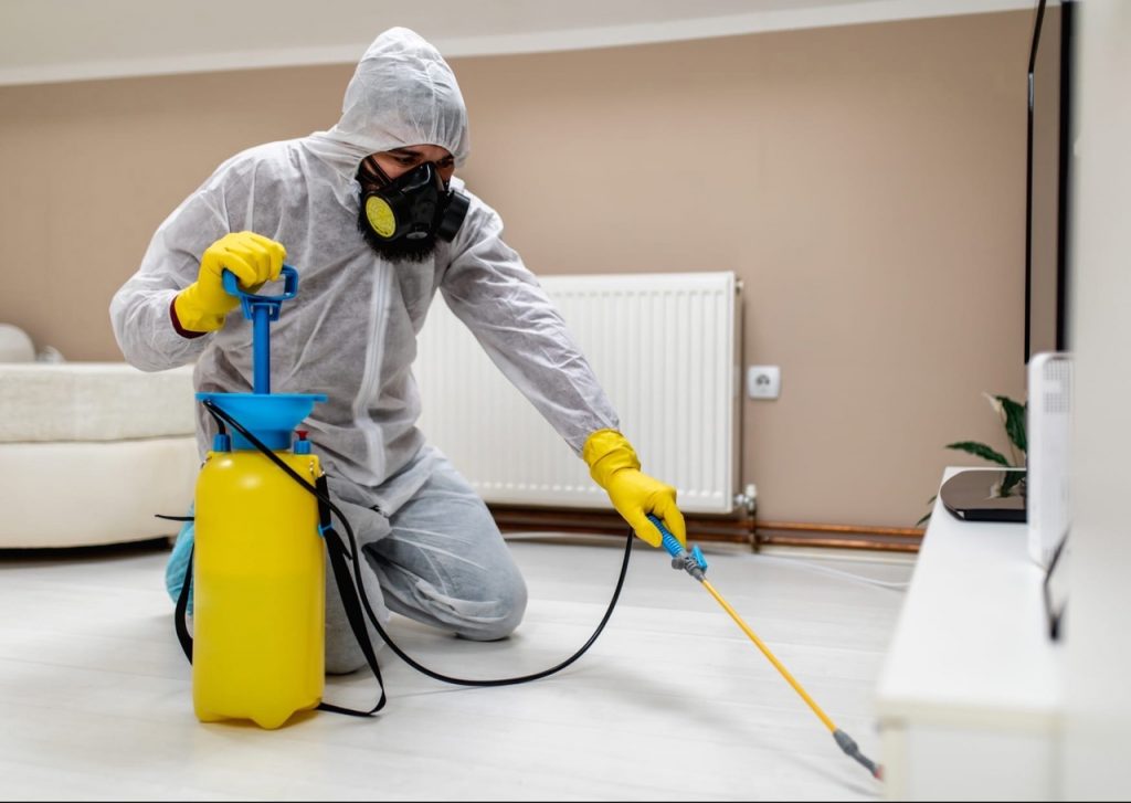 Pest Control & Termite Control Services