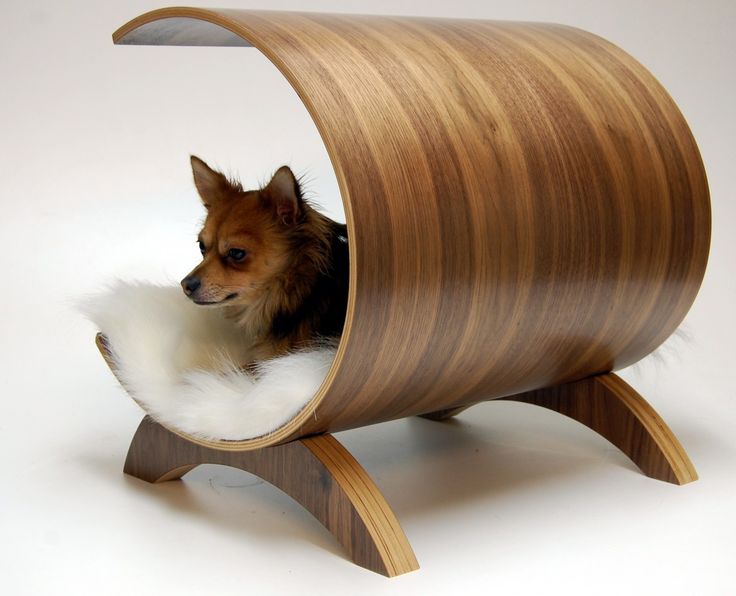 Pet Furniture, Accessories & Products