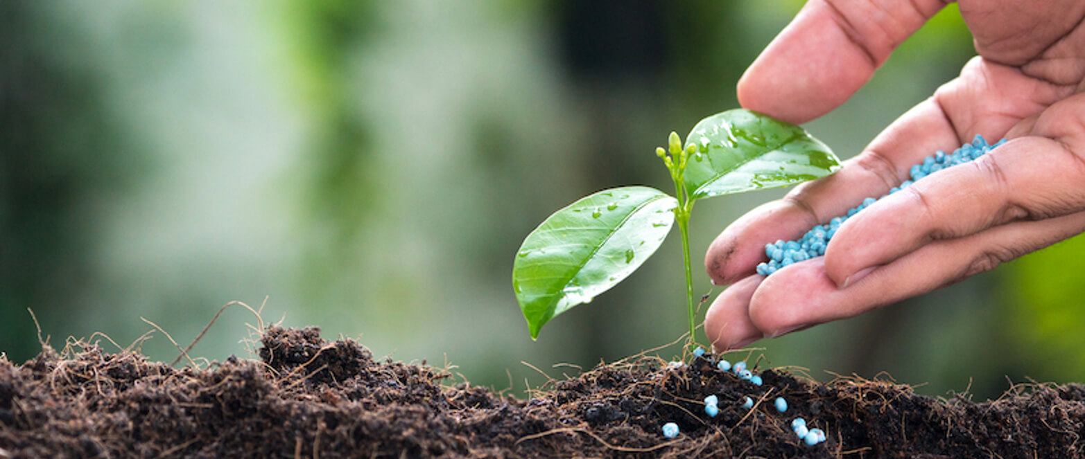 Soil Additives & Fertilizers