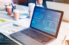 Web Development & Marketing Services