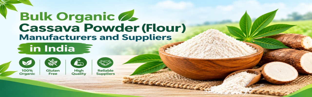 Bulk organic Cassava Powder (Flour) Manufacturers and suppliers in India