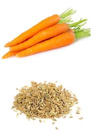 Hybrid Carrot Seeds