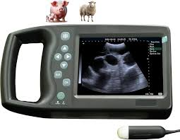 Portable Ultrasound 3.5MHz