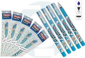 Smooth Flow Ball Pens – Blue Ink (Pack of 10)