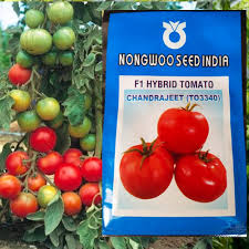 Tomato Hybrid F1 – High Yield (10 g)