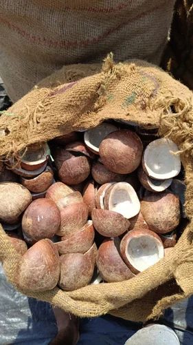 Dried Coconut