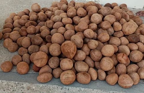 Dried Coconut Ball Copra