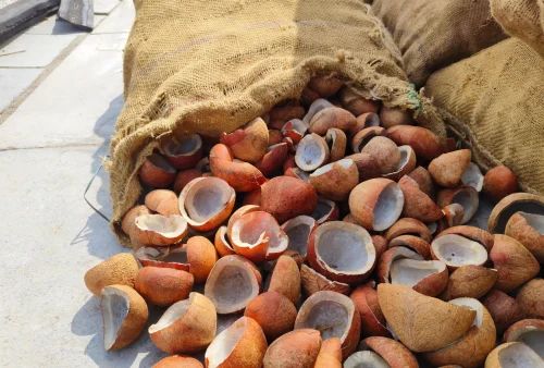 Coconut Copra