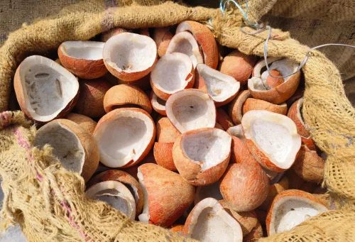 Half Cut Dry Coconut Copra
