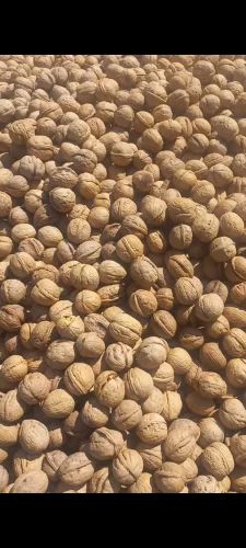 Whole Kashmiri Kagzi Walnut Mix, Carton