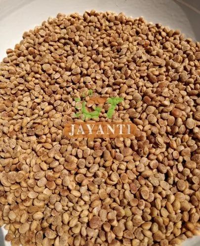 Charoli Chironji Seed, Form: Loose