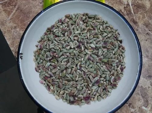 Pista Peshawari Kernels