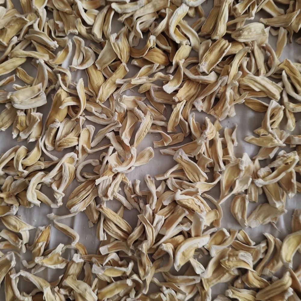 Dehydrated Jackfruit