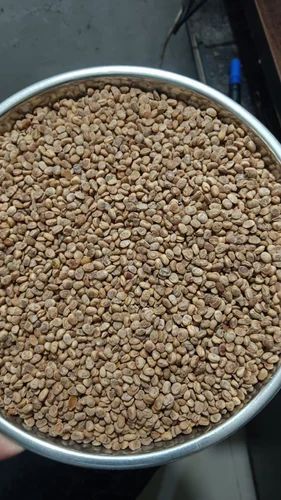 Charoli Chironji Seed