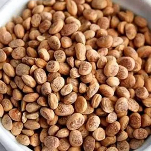 Premium Whole Chironji Seed (1 kg Vacuum Bag)