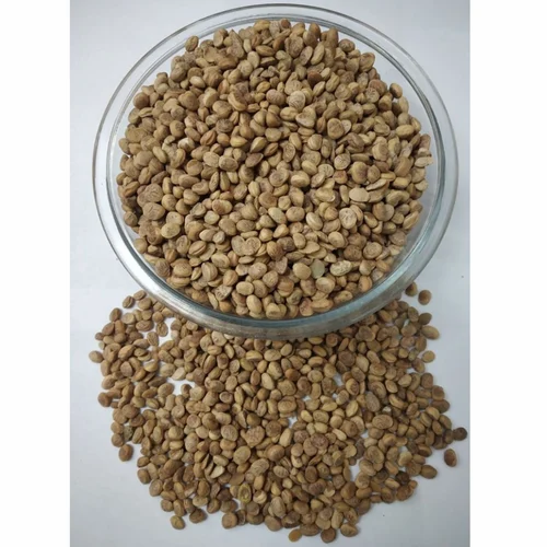 Premium Quality Chironji Kernel (15 Kg Jute Bag)