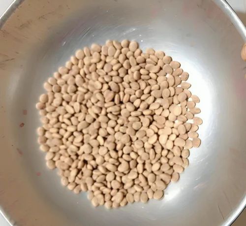 15 Kg Bold Quality Chironji Kernel