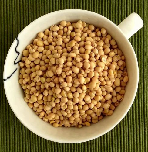 Organic Dried Soybean