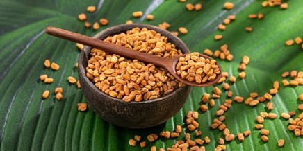 Fenugreek
