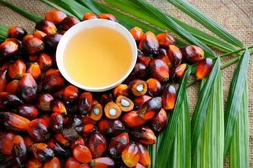Refined Palm Oil