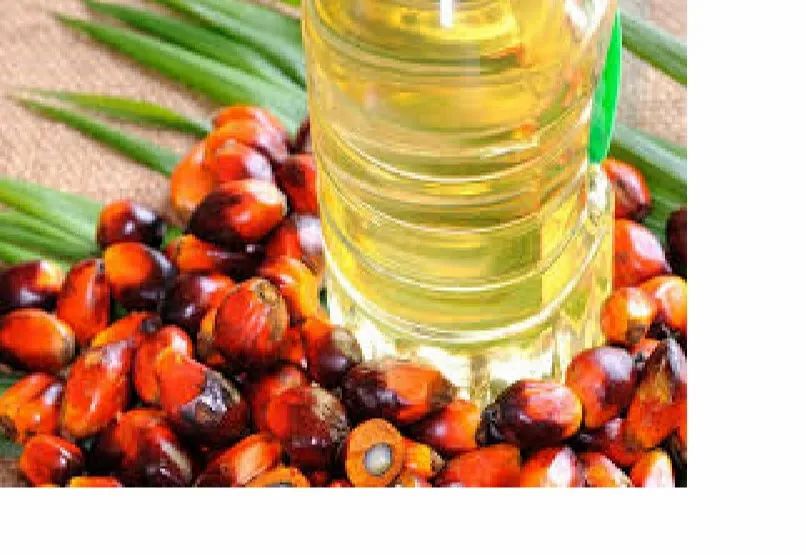 Palm Oil