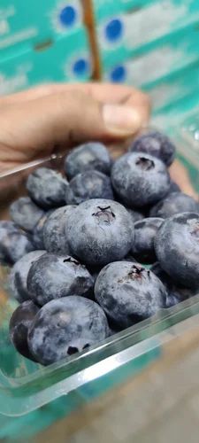 Organic Fresh Blueberry