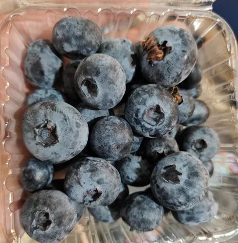 Fresh Blueberry Fruit