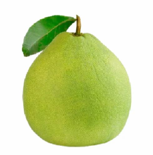 Fresh Pomelo Fruit
