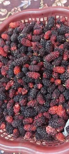 Mulberry Fresh Shadood