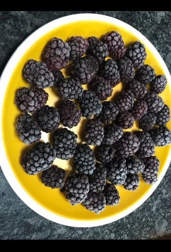 A Grade Frozen Blackberry Fruit, Packaging Type: Carton, Packaging Size: 1 kg