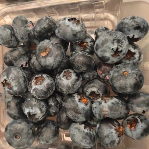 Blueberries Fresh Fruit