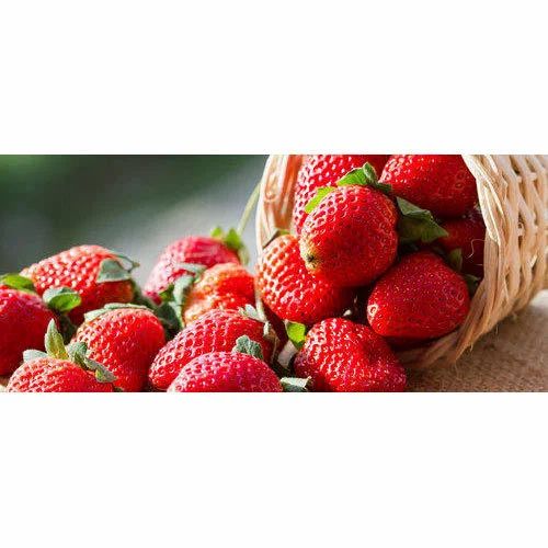 Fresh Strawberry