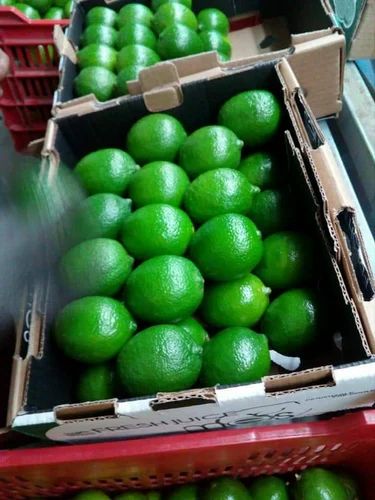 A Grade Maharashtra Lemon Export Quality