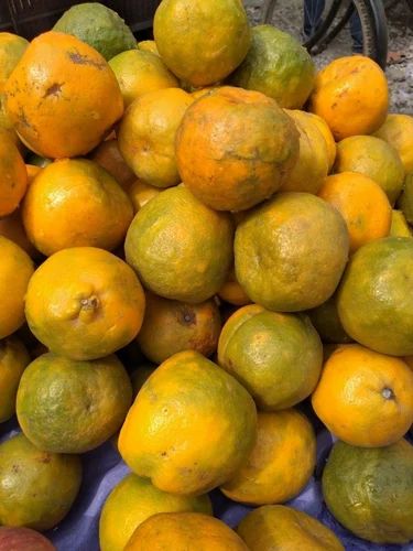 Fresh Nagpur Orange