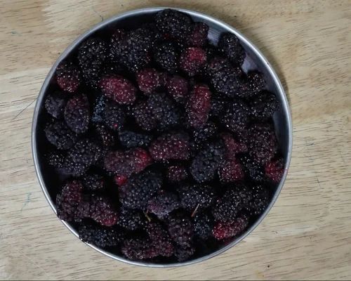 Frozen Indian Mulberry