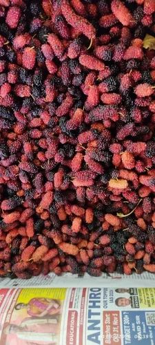 Red Mulberries Fruits